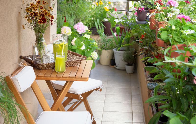 Jakie kwiaty na balkon? Najpiękniejsze aranżacje balkonów inspirowane naturą