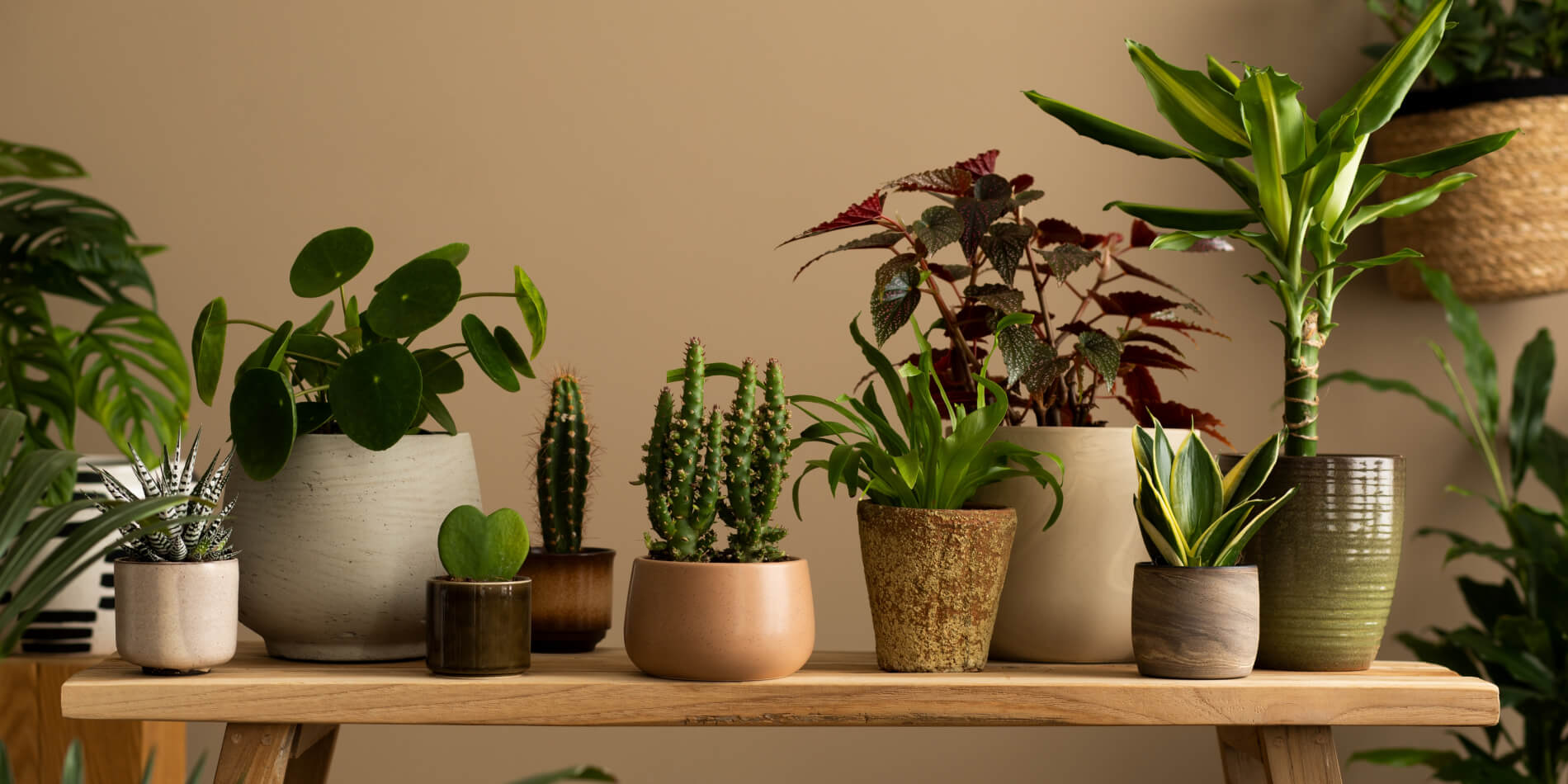 doniczki ceramiczne w naturalnych kolorach ustawione na półce w salonie