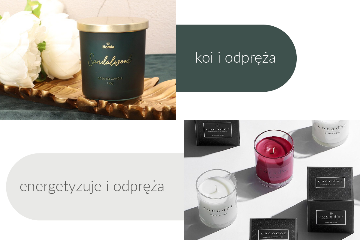 Polecamy