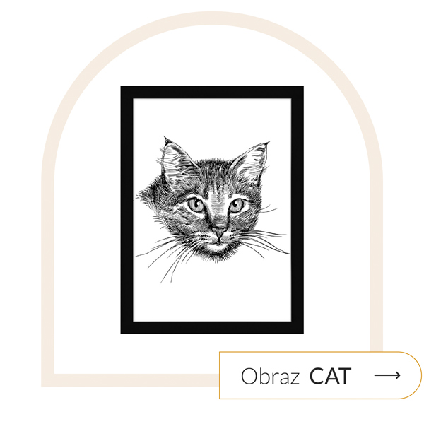 obraz kot