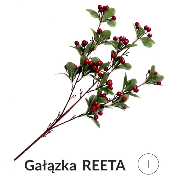 Gałązka z czerwonymi jagodami