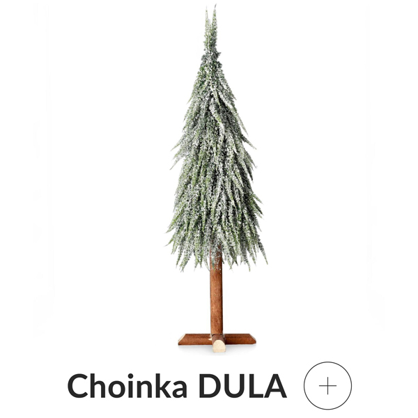 choinka ośnieżona na pieńku