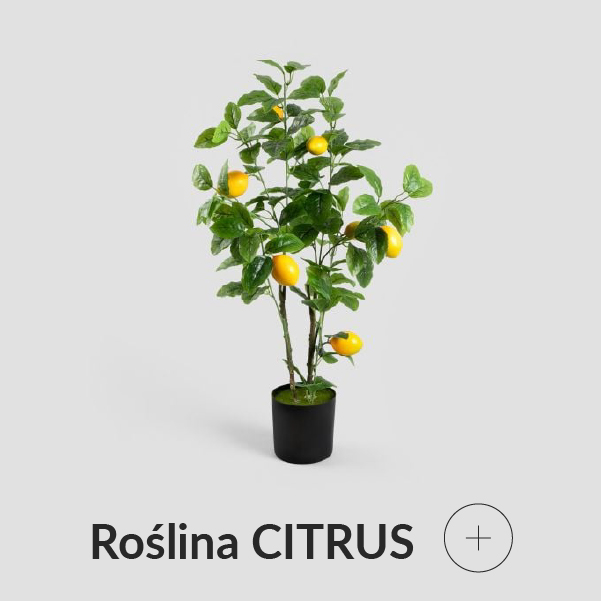 Roślina sztuczna drzewko cytrynowe