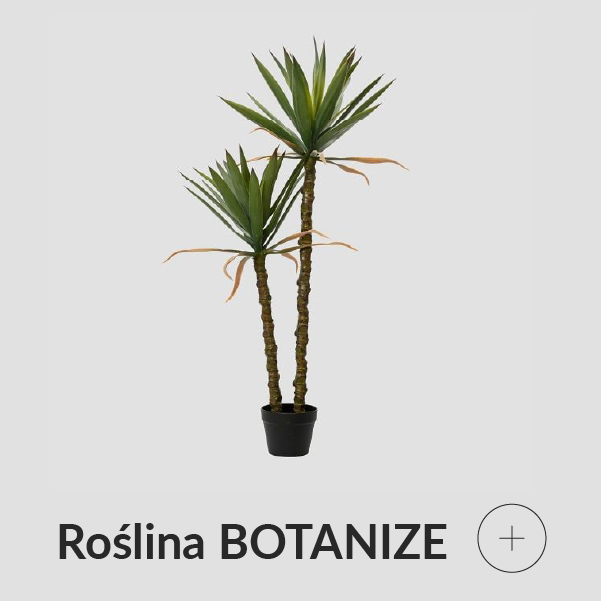 Roślina sztuczna juka