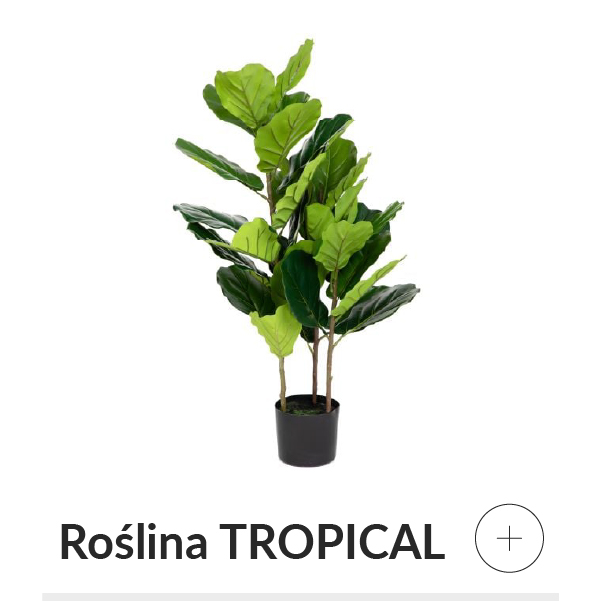 Roślina sztuczna figowiec