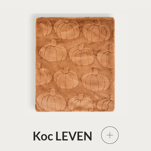 Koc jesienny pomarańczowy w dynie