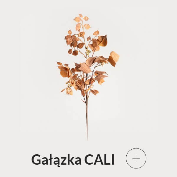 Gałązka jesienna brązowa