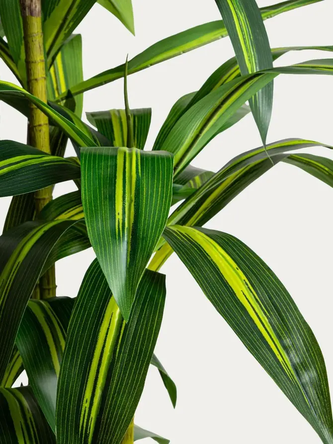 Roślina sztuczna GREENORA dracena 160 cm