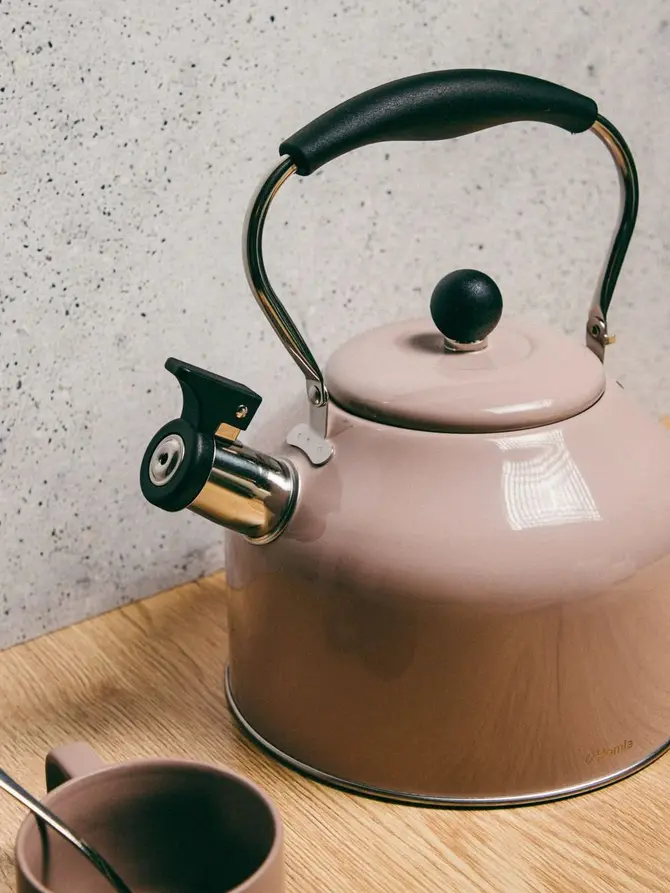 Czajnik SOFTBOIL taupe 3 l