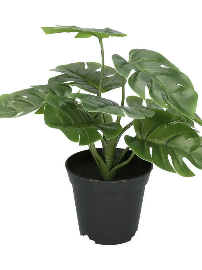 Roślina MONSTERA sztuczna 29 cm