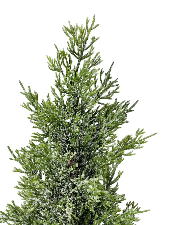Choinka DULA oszroniona na pieńku 30 cm
