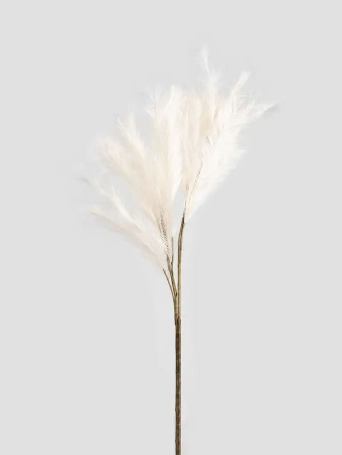 Gałązka sztuczna CANNE ecru 100 cm
