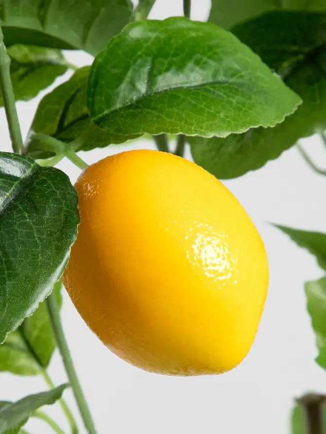 Roślina sztuczna CITRUS z cytrynami 75 cm