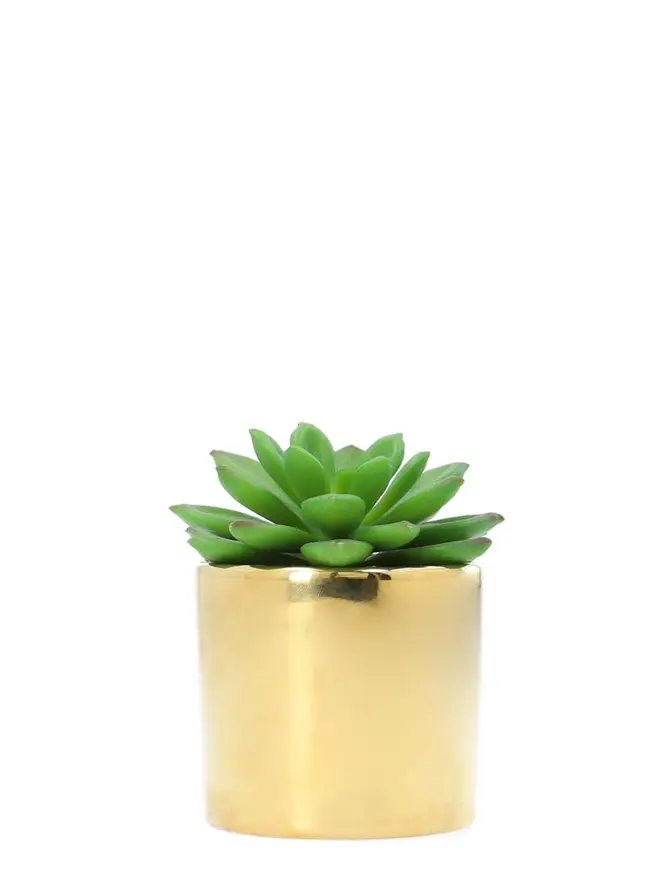Sukulent ENAR sztuczny 6x10 cm