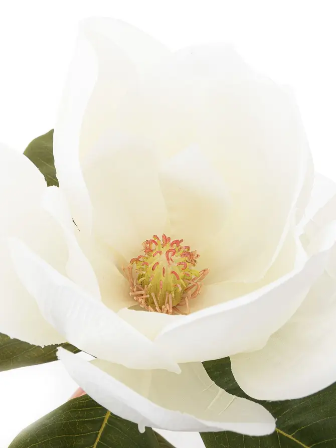 Kwiat sztuczny HIYA magnolia biała 71 cm