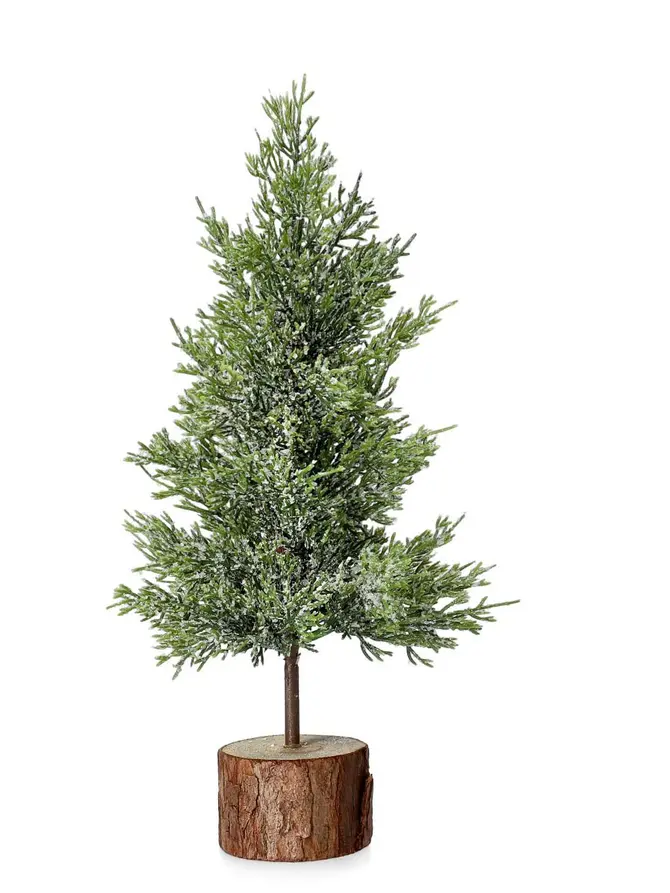 Choinka DULA oszroniona na pieńku 30 cm