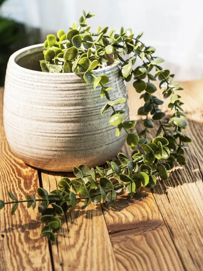 Roślina sztuczna EUCALYPTUS w donicy wisząca 50 cm