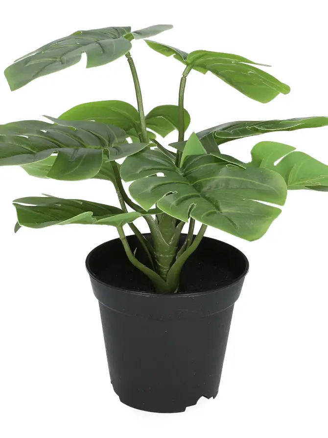 Roślina MONSTERA sztuczna 29 cm