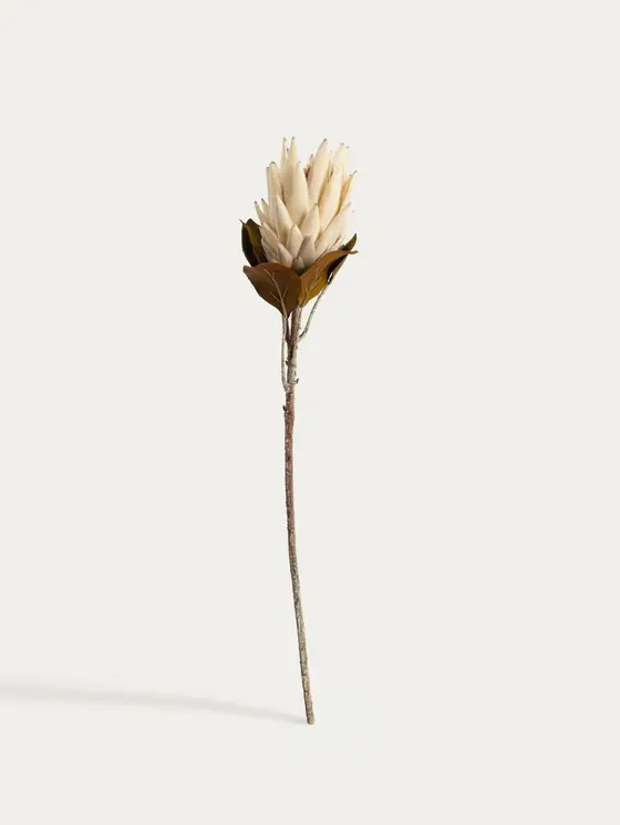 Gałązka sztuczna AURELLA protea kremowa 72 cm