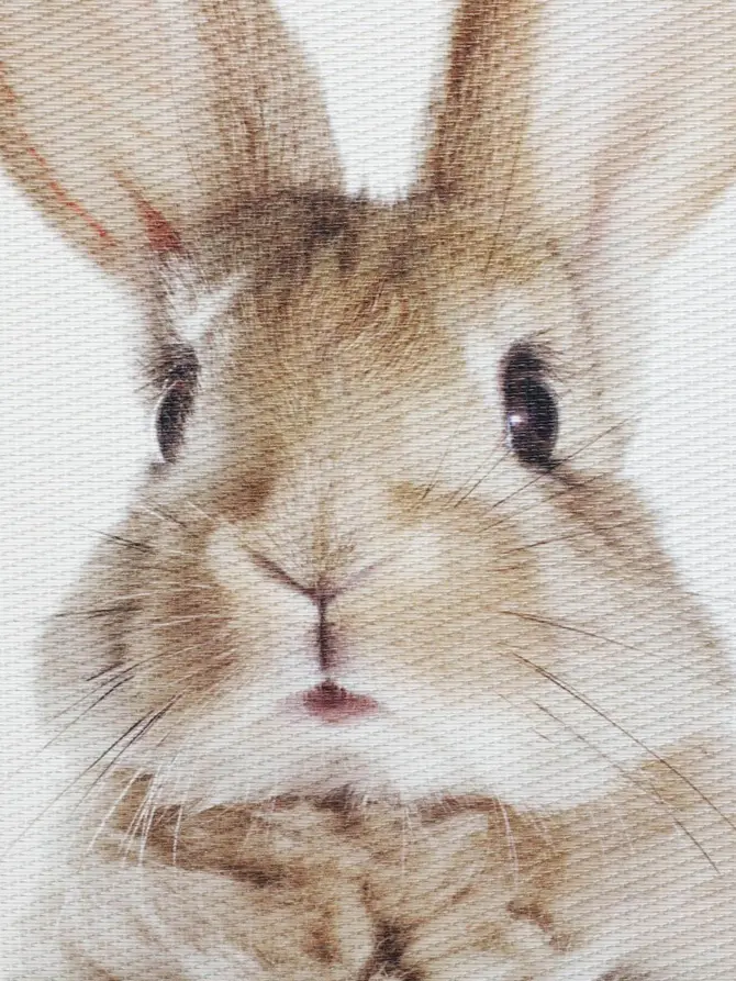 Podkładka BRUCE z królikiem 30x45 cm