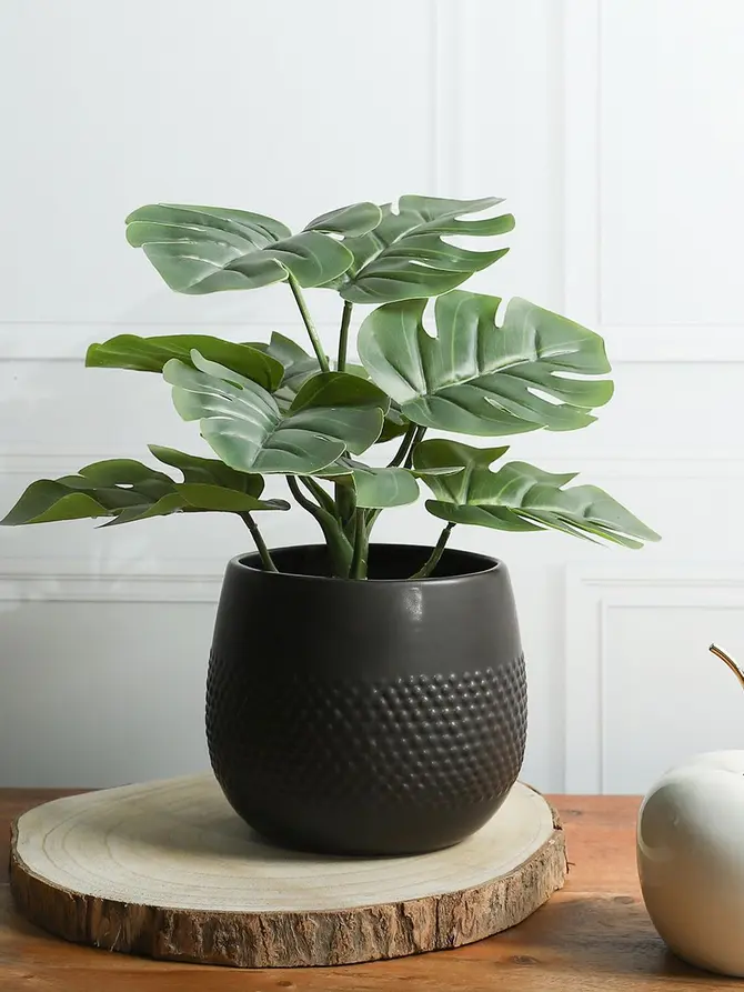 Roślina MONSTERA sztuczna 29 cm