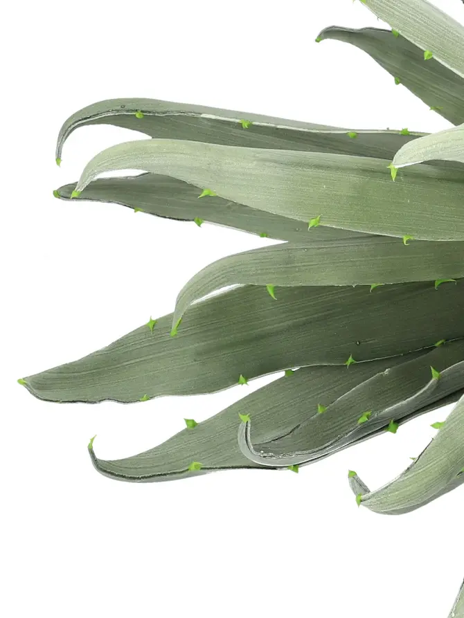 Kwiat sztuczny ALOE zielony 80 cm