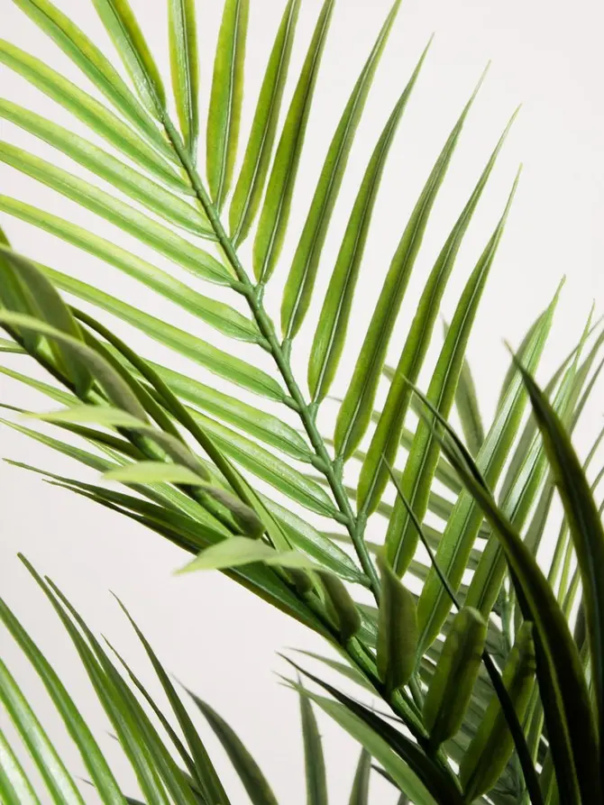 Roślina sztuczna TROPICAL ZONE palma 120 cm