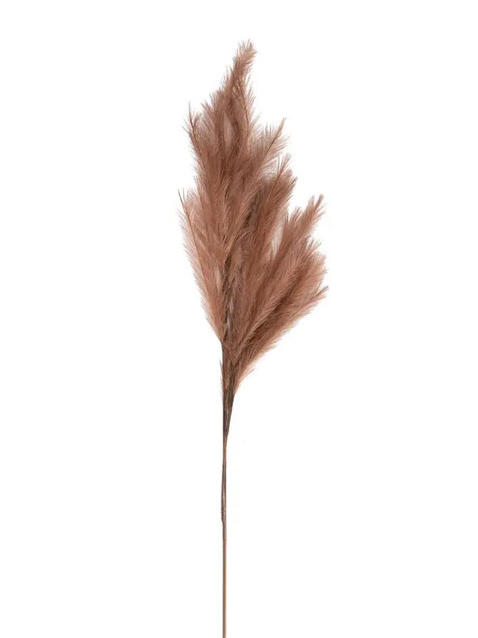 Gałązka CANNE sztuczna kremowa 100 cm