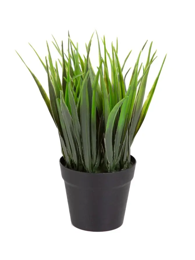 SZTUCZNA ROŚLINA DONICZKOWA B2 ERBA Essentials B2 ERBA 19 cm 