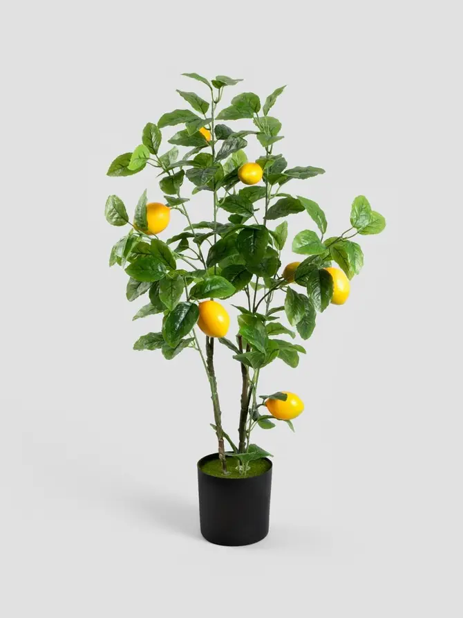 Roślina sztuczna CITRUS z cytrynami 75 cm