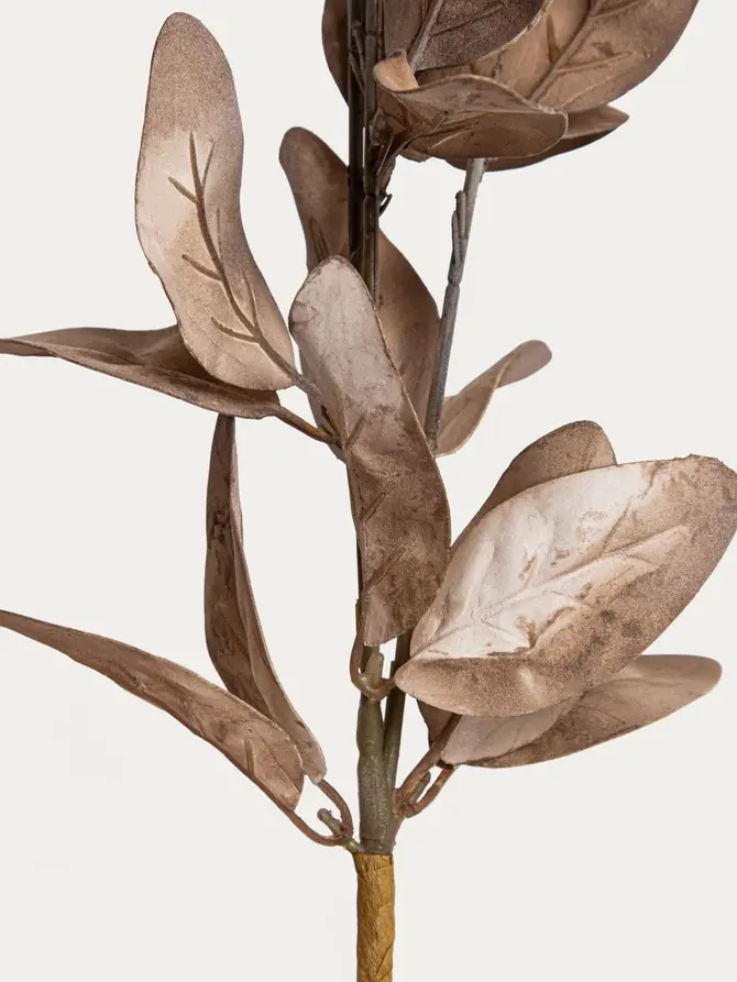Gałązka sztuczna KAIRO liście magnolii brązowe 82 cm