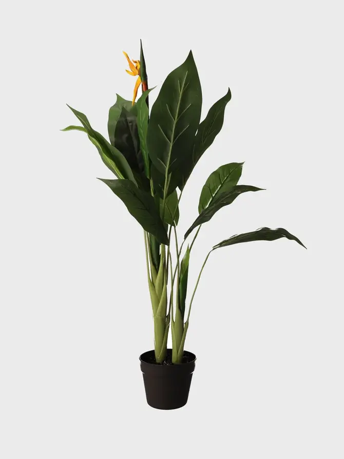 Roślina sztuczna AILIA Strelicja 100 cm