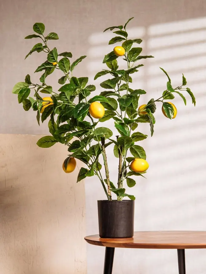 Roślina sztuczna CITRUS z cytrynami 75 cm