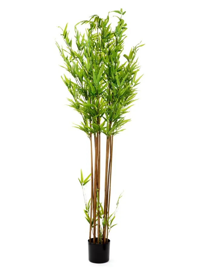 Roślina sztuczna TROPICAL ZONE bambus 180 cm