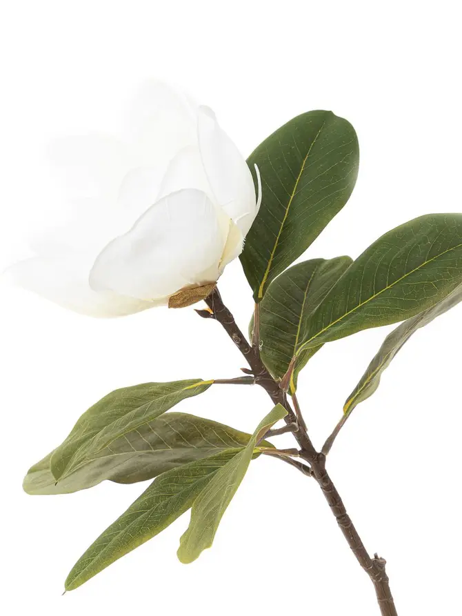Kwiat sztuczny HIYA magnolia biała 71 cm