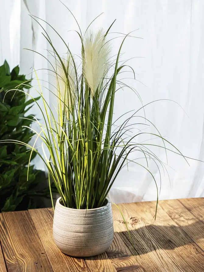 Trawa GRASS sztuczna ecru 57 cm