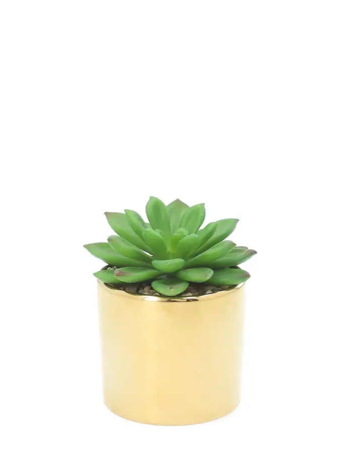 Sukulent ENAR sztuczny 6x10 cm