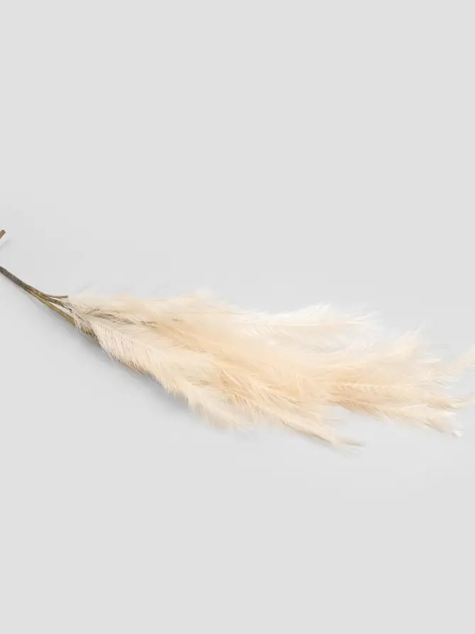 Gałązka sztuczna CANNE ecru 100 cm