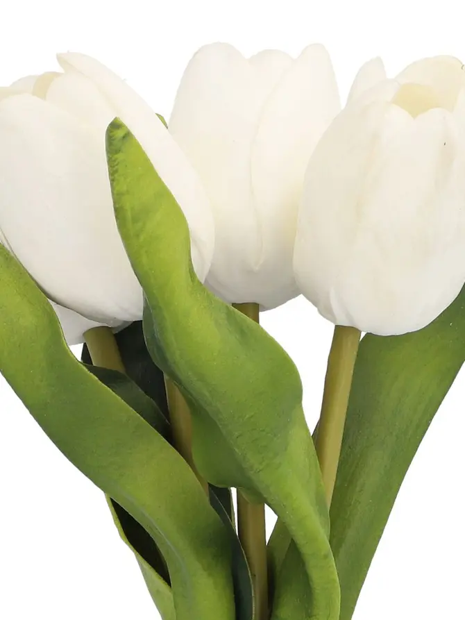 Kwiaty LITEN sztuczne tulipany białe 30 cm