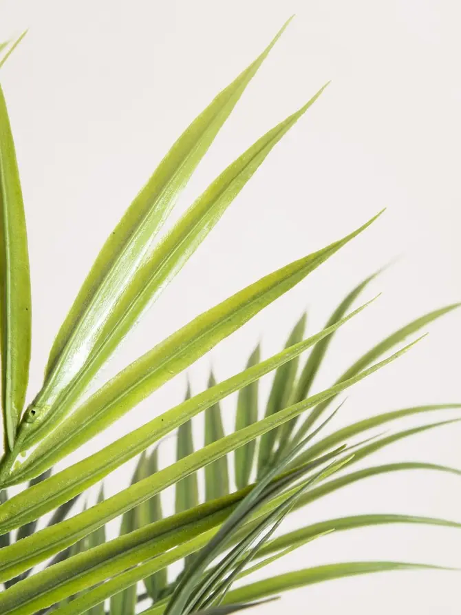 Roślina sztuczna TROPICAL ZONE palma 150 cm