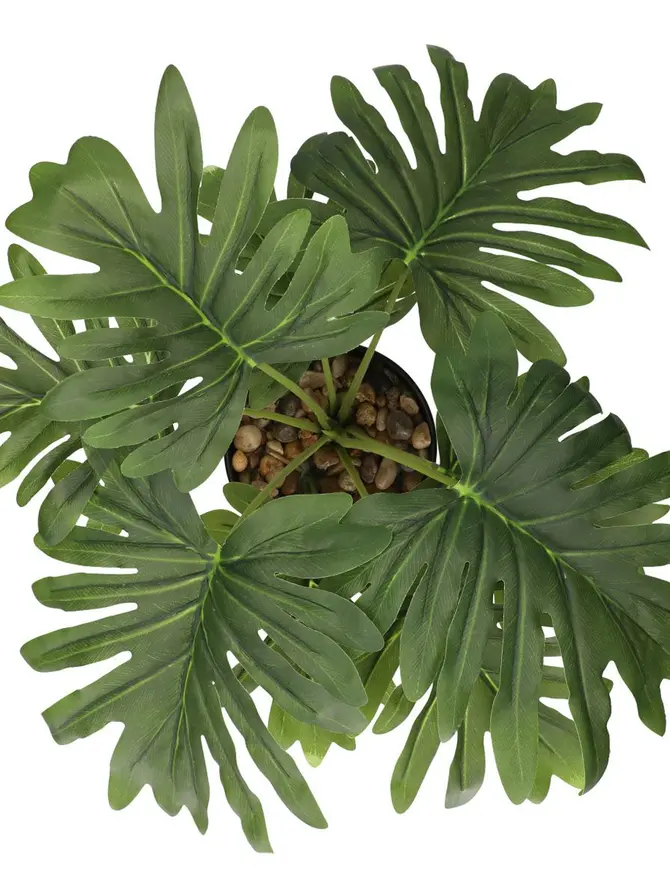 Roślina PALMS sztuczna 13x41 cm
