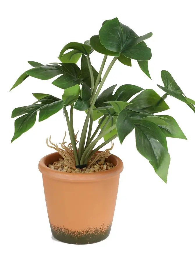 Roślina sztuczna SEMELA monstera 25 cm