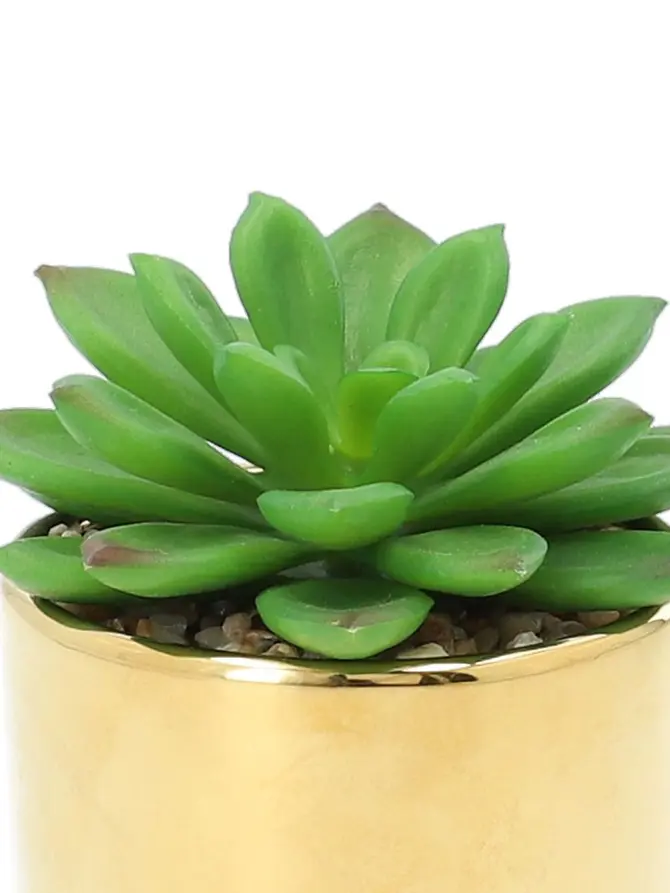 Sukulent ENAR sztuczny 6x10 cm