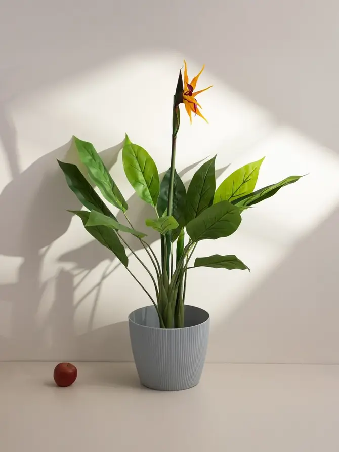 Roślina sztuczna AILIA Strelicja 100 cm