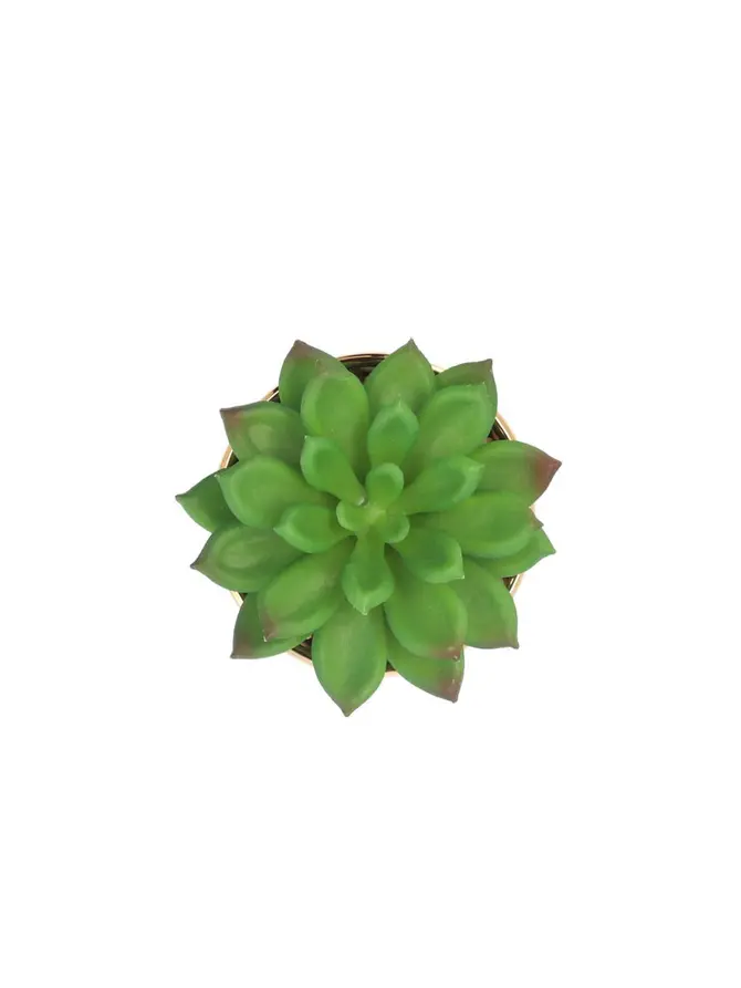 Sukulent ENAR sztuczny 6x10 cm