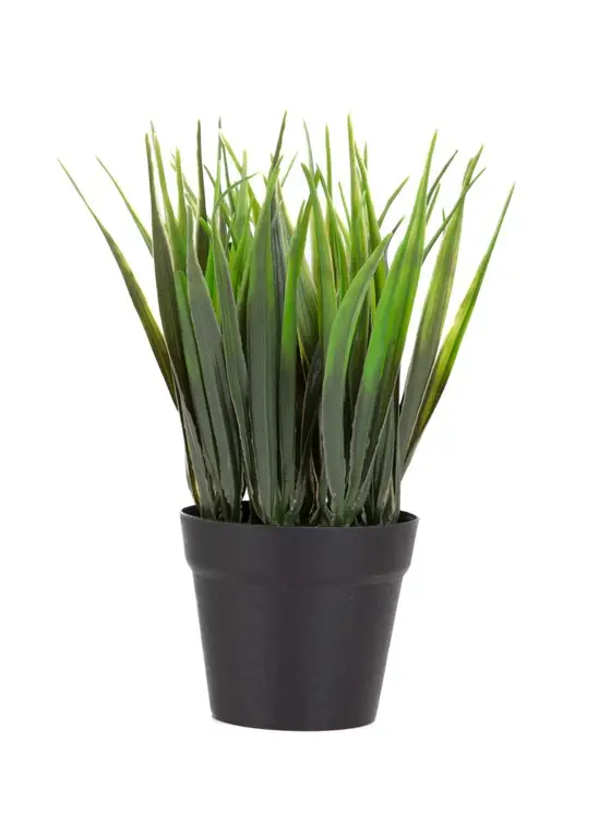 SZTUCZNA ROŚLINA DONICZKOWA B2 ERBA Essentials B2 ERBA 19 cm 