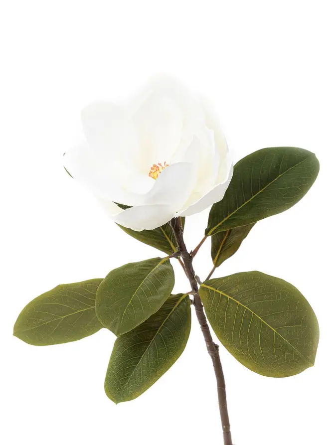 Kwiat sztuczny HIYA magnolia biała 71 cm
