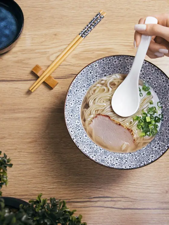 Zestaw do ramen SALADO w kwiatki z brązowym rantem 21 cm