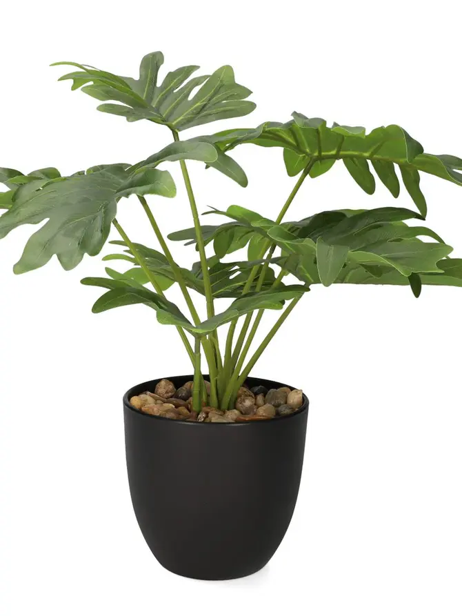 Roślina PALMS sztuczna 13x41 cm