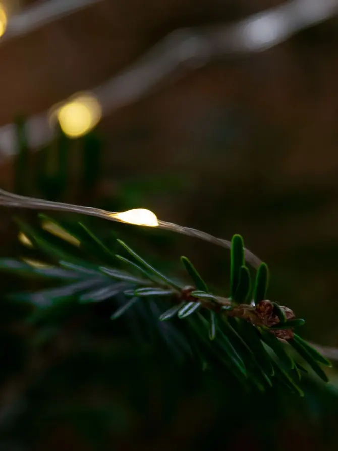 Lampki LUMERE dekoracyjne, światło: ciepła biel 100 LED, 5 m